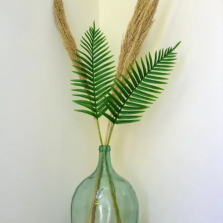 Beachside Retreat, Steps To Kos