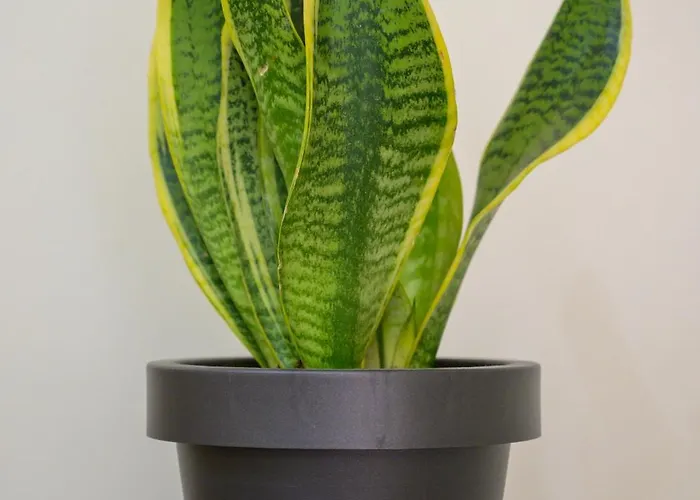 Beachside Retreat, Steps To * コス・タウン