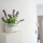 Beachside Retreat, Steps To Apartamento