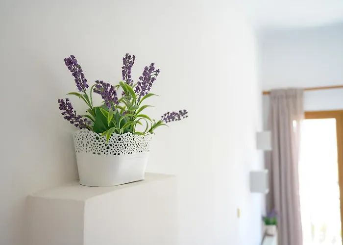 Beachside Retreat, Steps To Apartment
